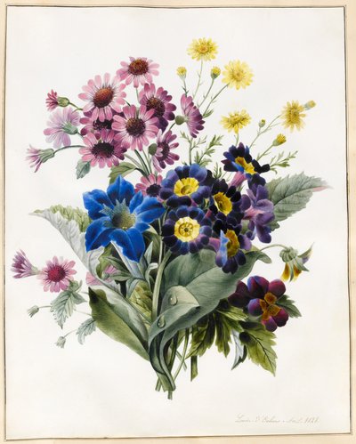 Gemengde bloemen, Aster sp., Auricula, Ragwort, Viola, Campanula, Gentiana Acaulis, 1828 door Louise DOrleans